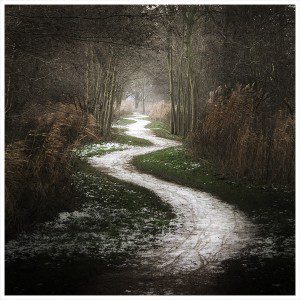 Winding Path 300x300